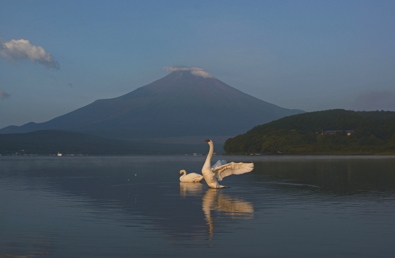 富士山画像記録