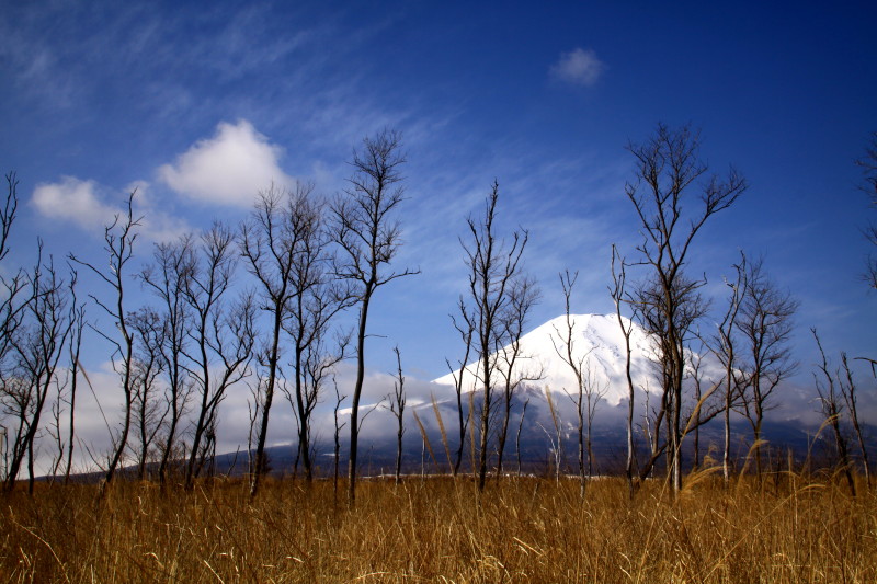 富士山画像記録