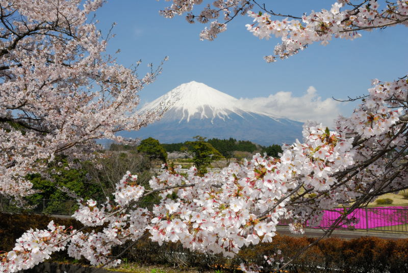 富士山画像記録