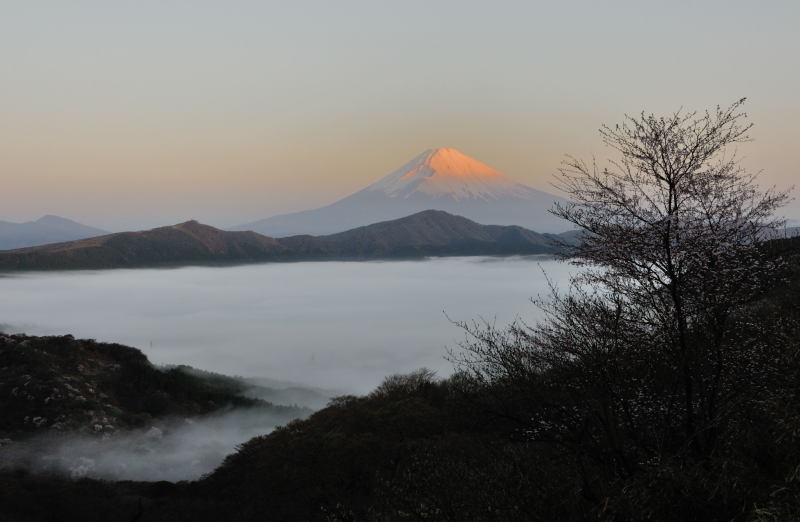 富士山画像記録