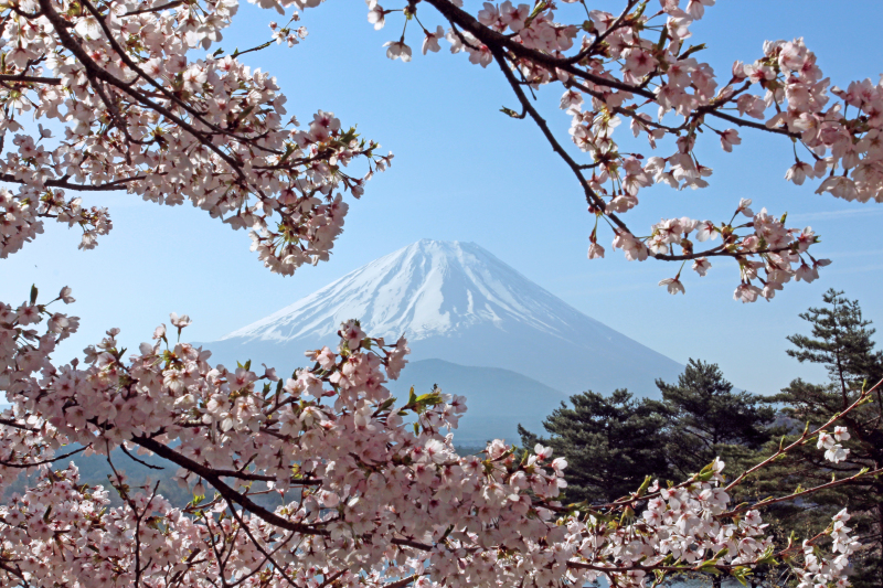 富士山画像記録