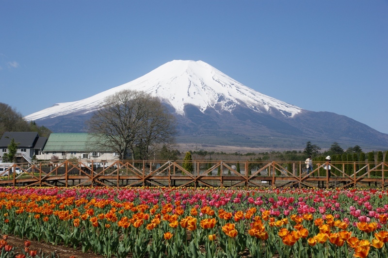 富士山画像記録