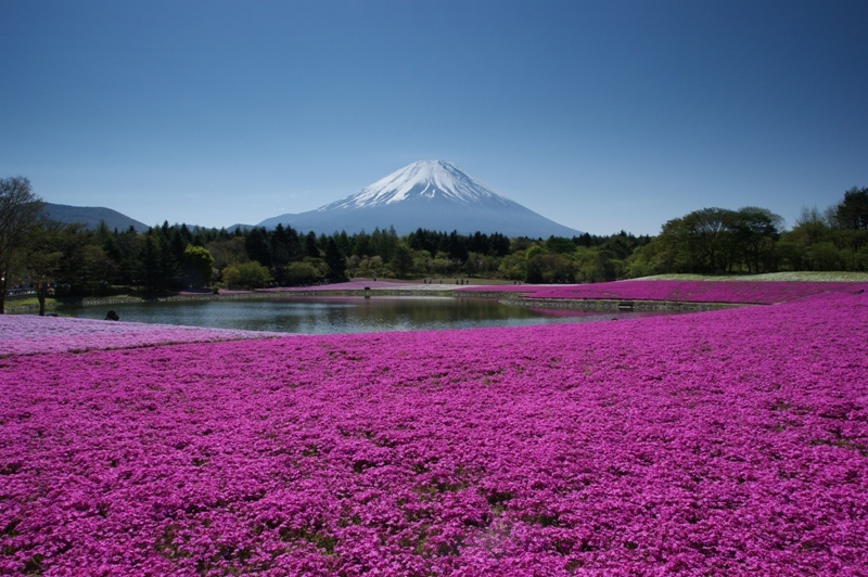 富士山画像記録