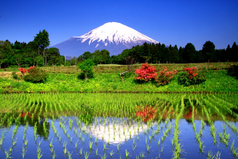 富士山画像記録