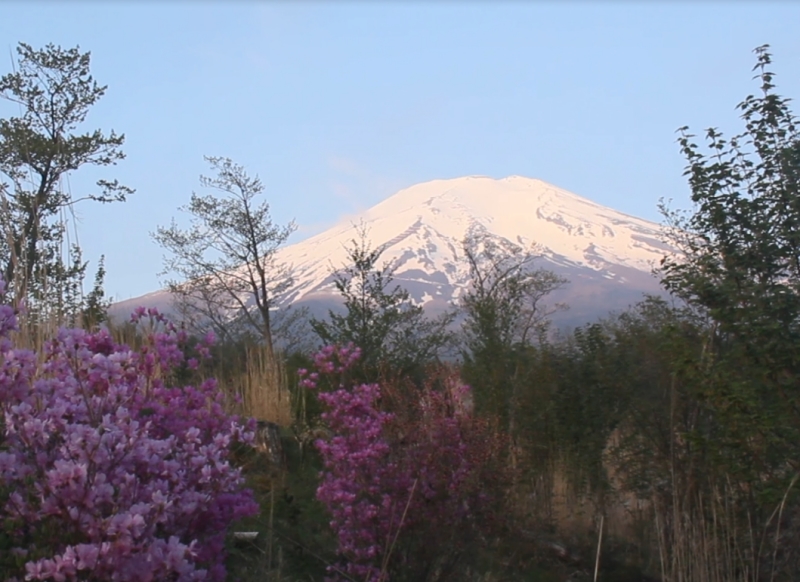 富士山画像記録