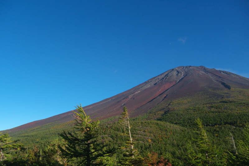 富士山画像記録