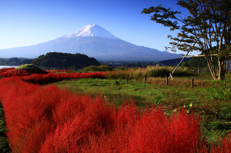 富士山画像記録