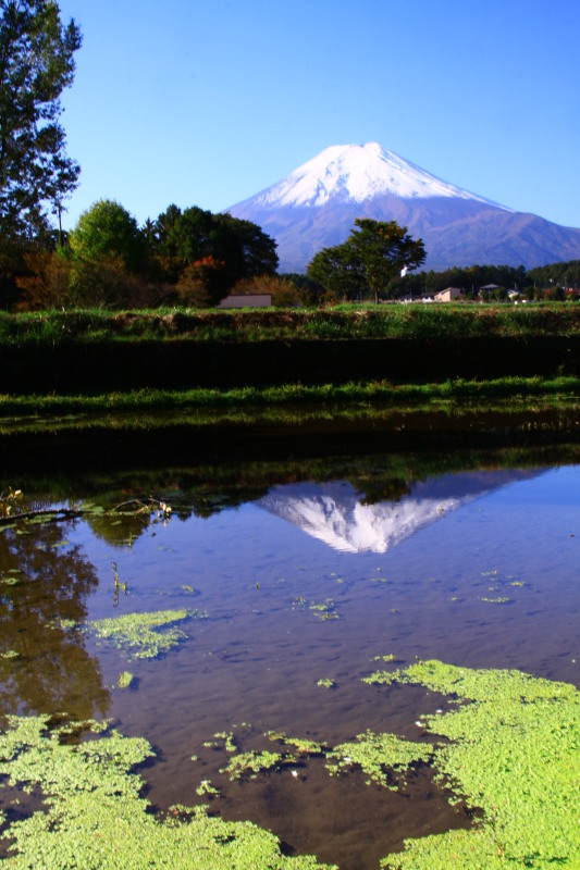 富士山画像記録