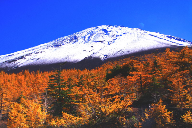 富士山画像記録