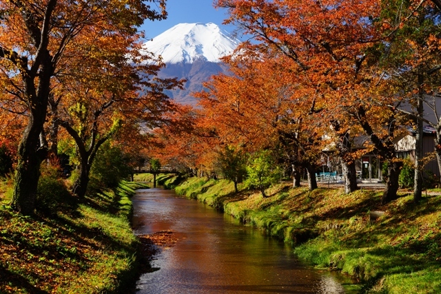 富士山画像作品