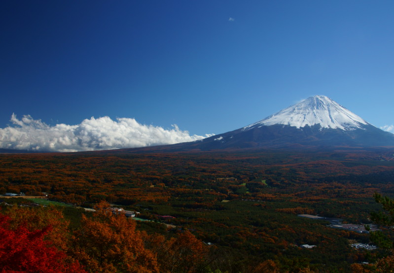 富士山画像記録