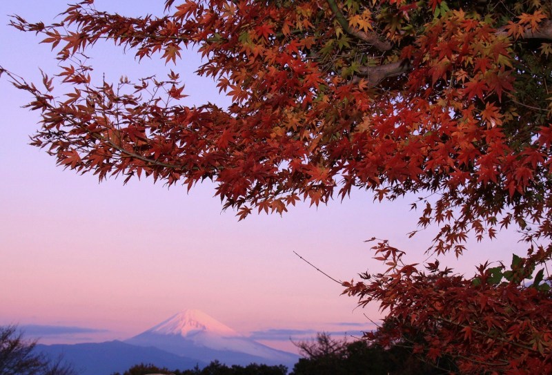 富士山画像作品