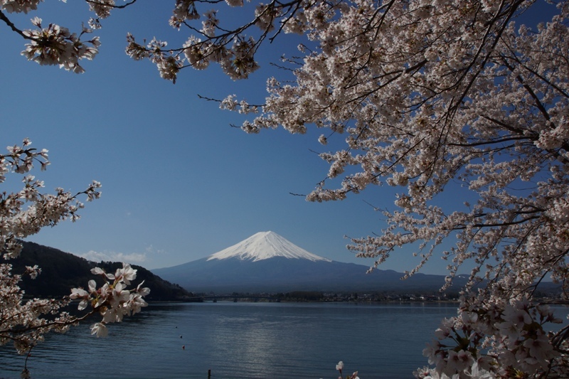 富士山画像記録