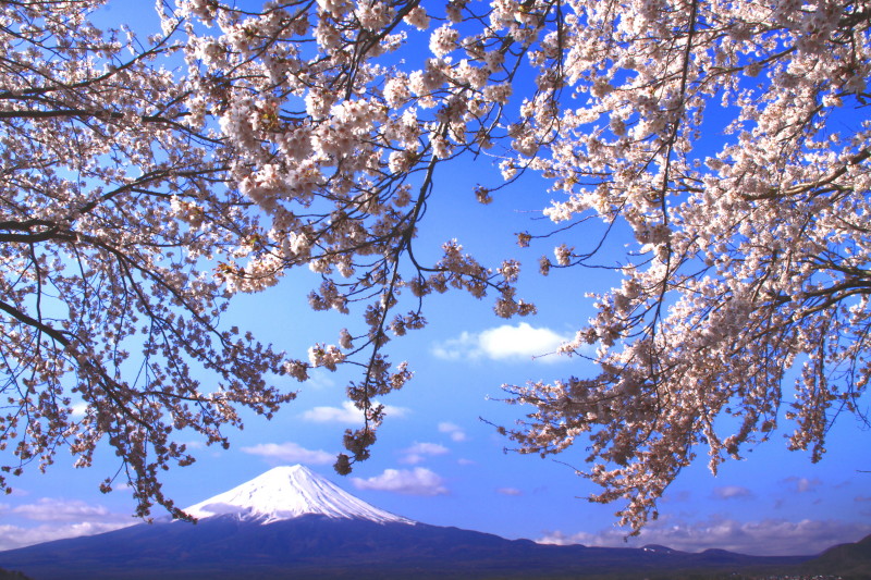 富士山画像記録