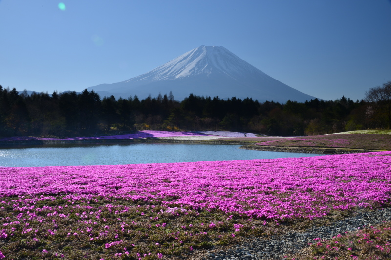 富士山画像記録