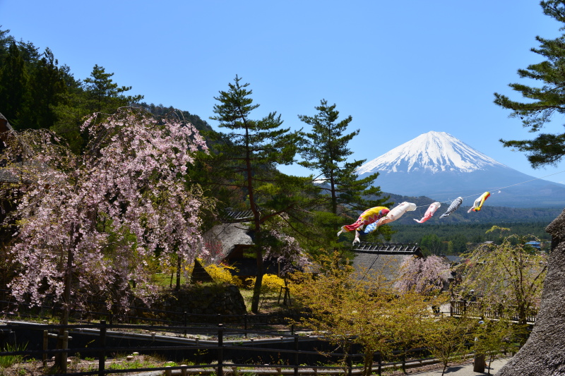 富士山画像記録