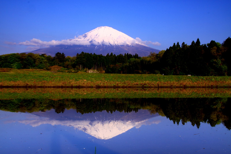 富士山画像記録