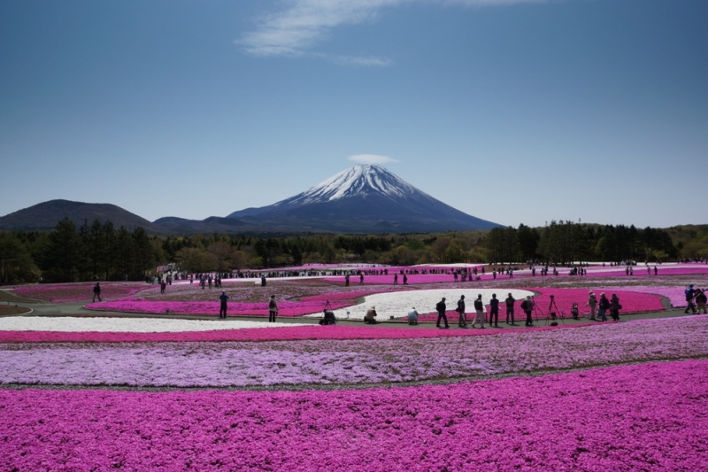 富士山画像記録