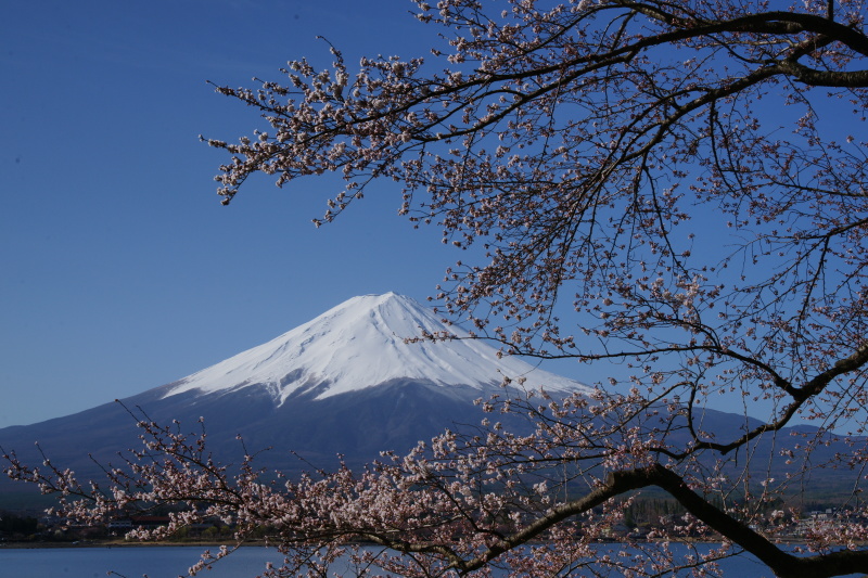 富士山画像作品