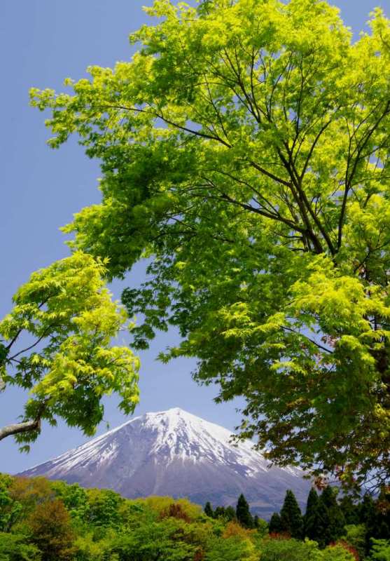 富士山画像作品