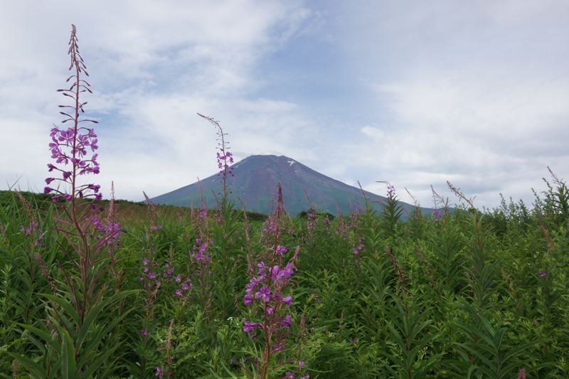 富士山画像記録