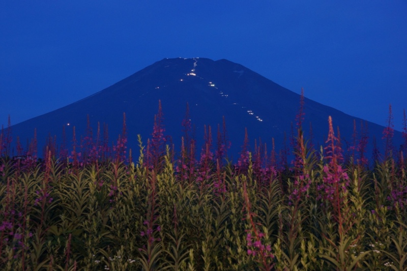 富士山画像記録