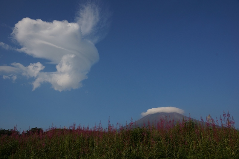 富士山画像記録