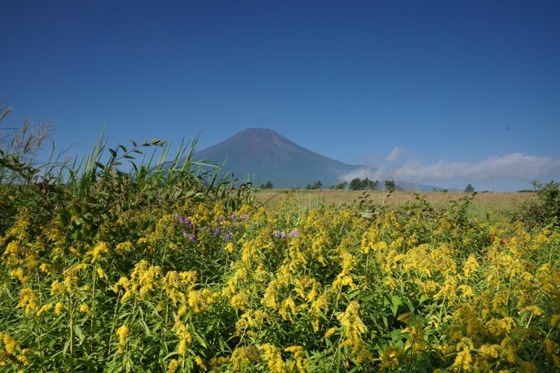 富士山画像記録