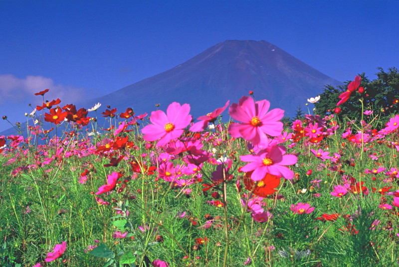 富士山画像記録