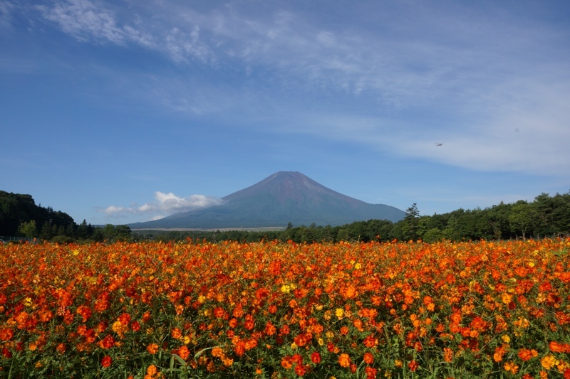 富士山画像記録