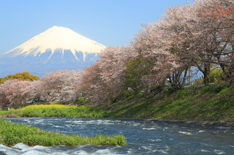 富士山画像作品