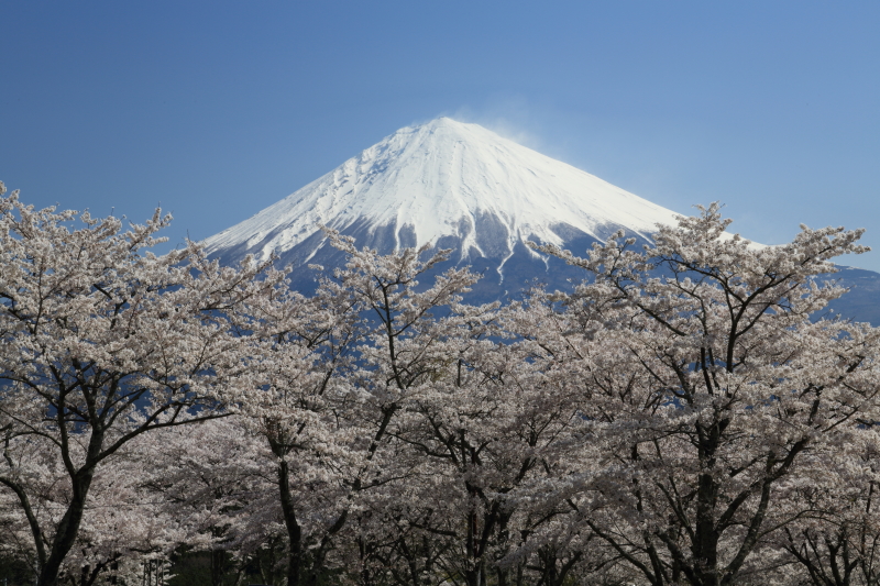 富士山画像作品