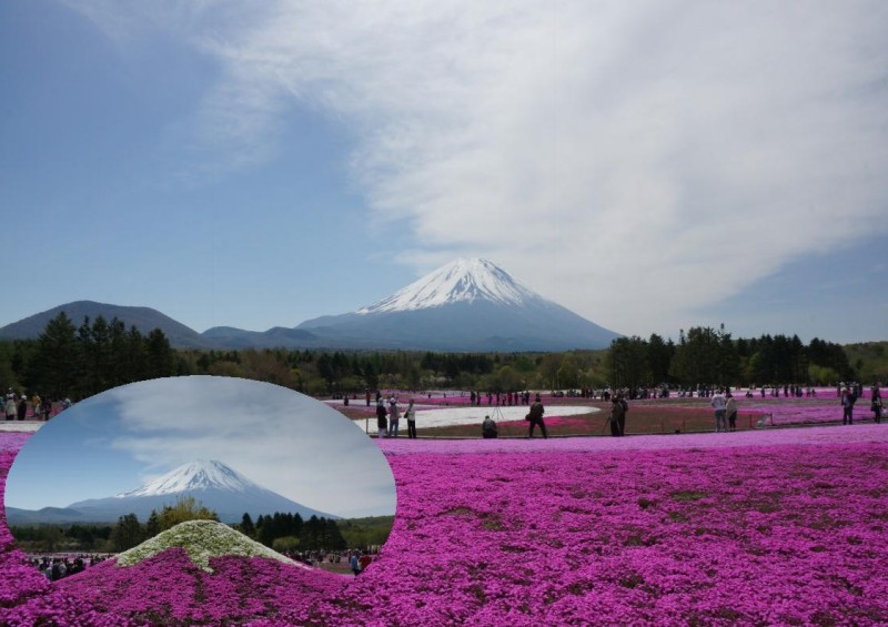 富士山画像記録