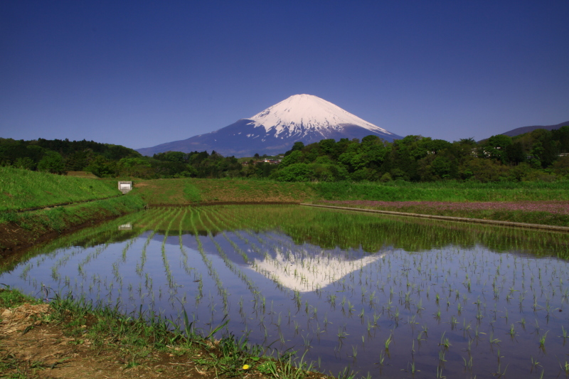 富士山画像記録