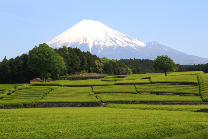 富士山画像作品