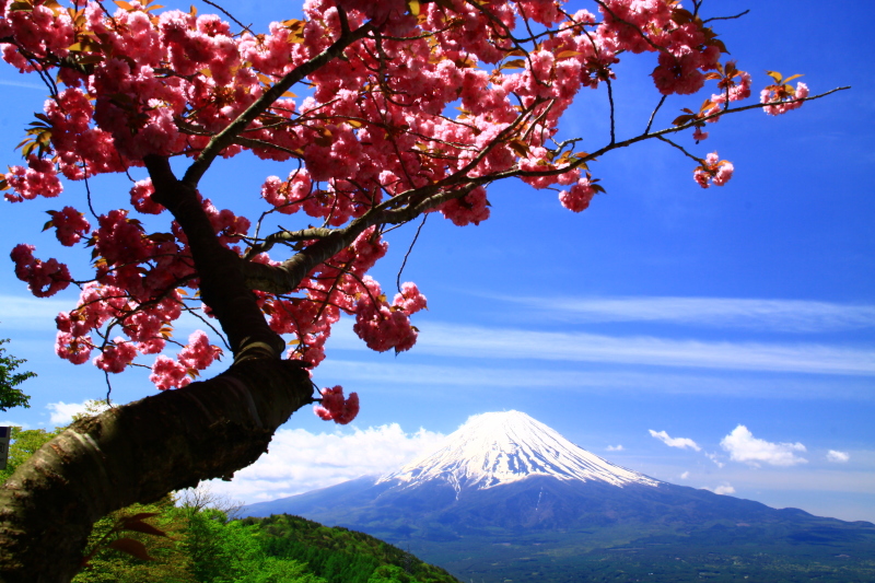 富士山画像記録