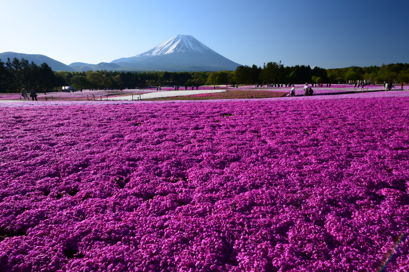 富士山画像記録