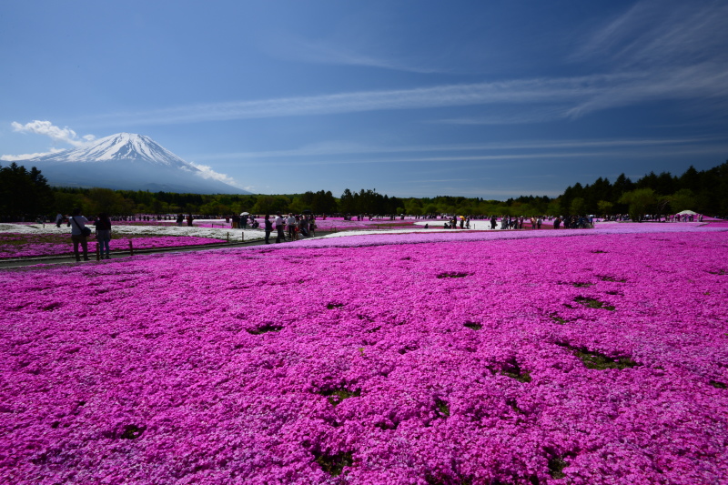 富士山画像記録