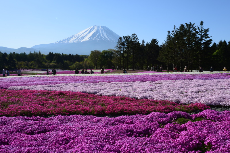 富士山画像記録