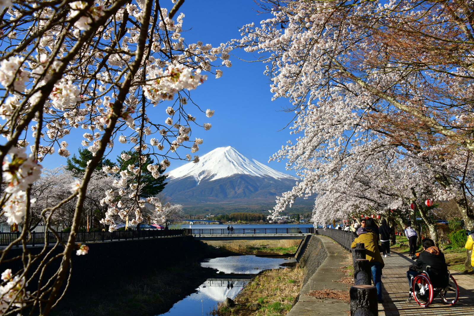 富士山画像記録