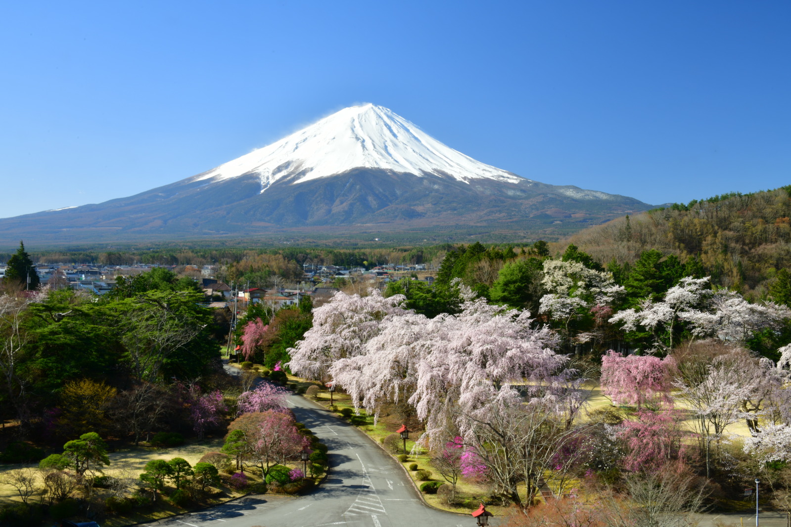富士山画像記録