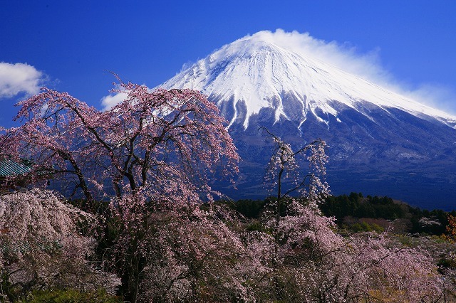 富士山画像作品