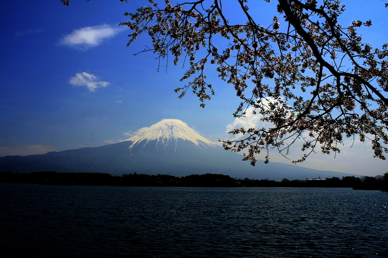 富士山画像記録