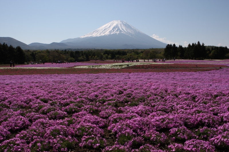 富士山画像作品