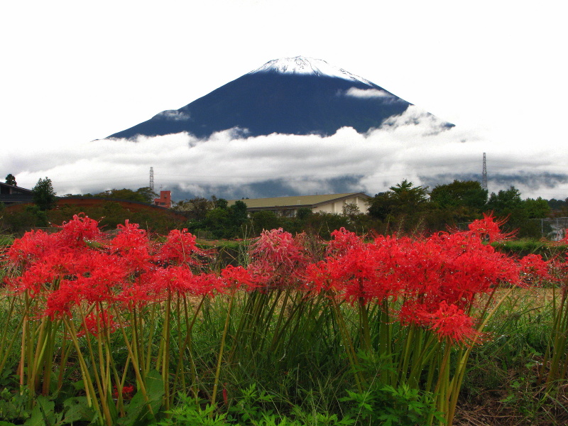 富士山画像記録