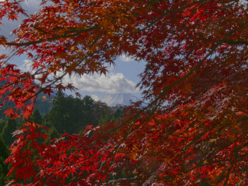 富士山画像記録