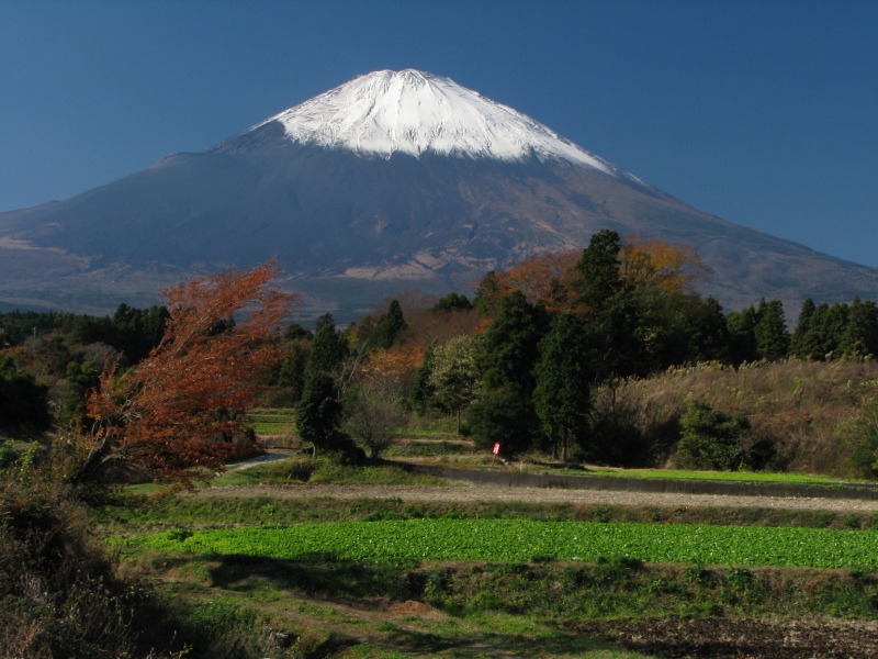 富士山画像記録