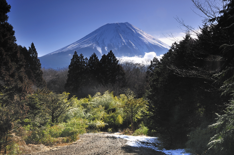 富士山画像記録