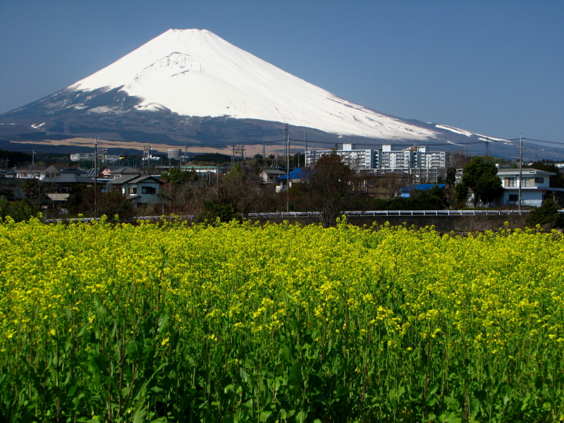 富士山画像記録