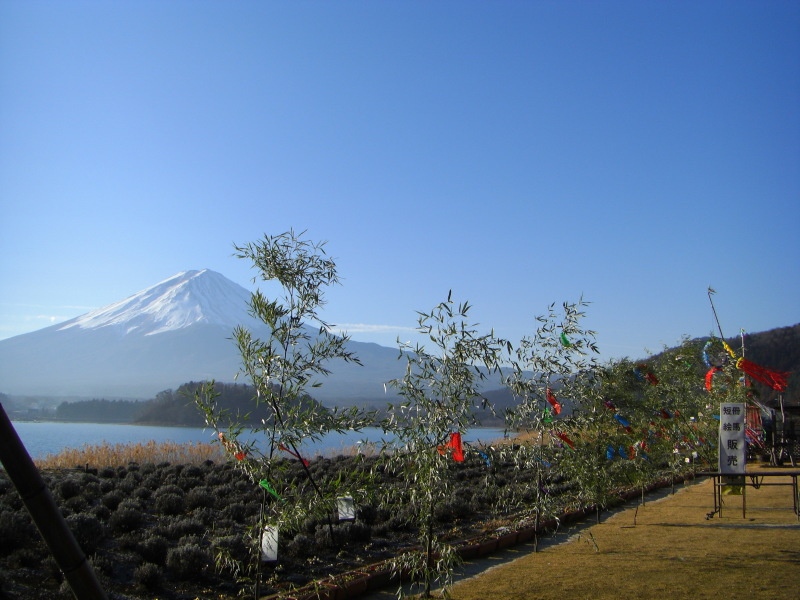 富士山画像記録